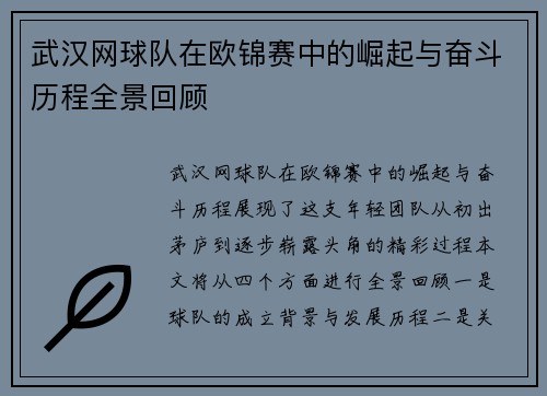 武汉网球队在欧锦赛中的崛起与奋斗历程全景回顾